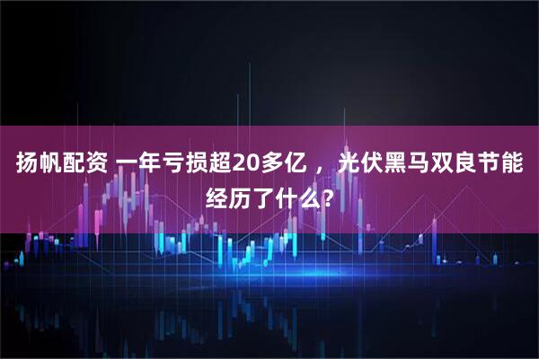 扬帆配资 一年亏损超20多亿 ，光伏黑马双良节能经历了什么？