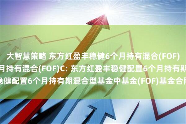 大智慧策略 东方红盈丰稳健6个月持有混合(FOF)A,东方红盈丰稳健6个月持有混合(FOF)C: 东方红盈丰稳健配置6个月持有期混合型基金中基金(FOF)基金合同生效公告