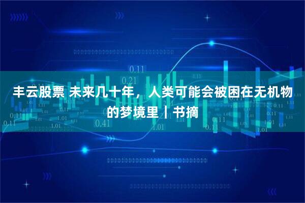 丰云股票 未来几十年，人类可能会被困在无机物的梦境里｜书摘